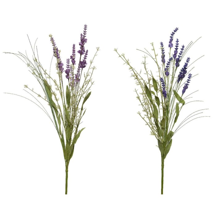 FIORE LAVANDA 2ASS H75